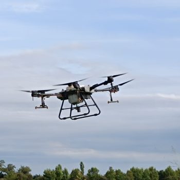 WhatsApp Image 2026-08-22 at 11.51.22 Drone fent actuacions de tractaments amb larvicides biològics per lluitar contra el Virus del Nil Occidental.
